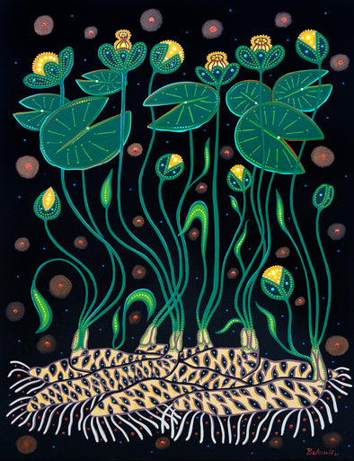 PRE-ORDER Pond Lilies #3
